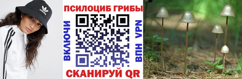 Псилоцибиновые грибы Psilocybine cubensis  магазин продажи   mega ТОР  Белорецк 